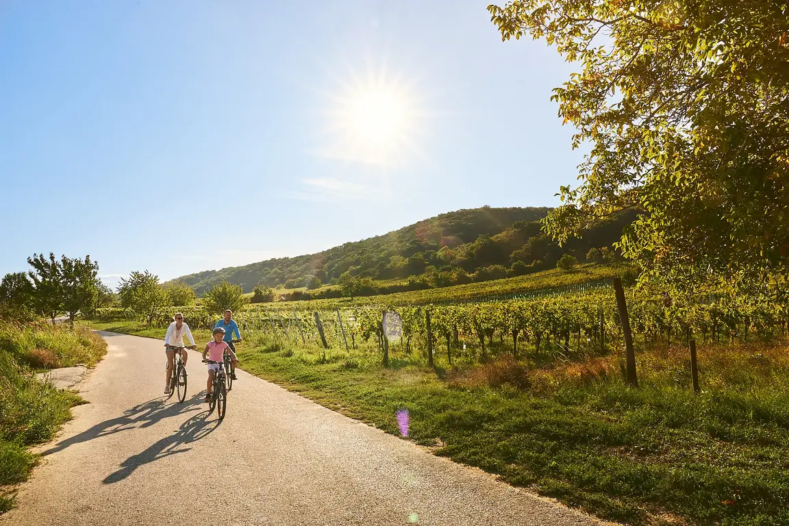 Radfahren im Burgenland